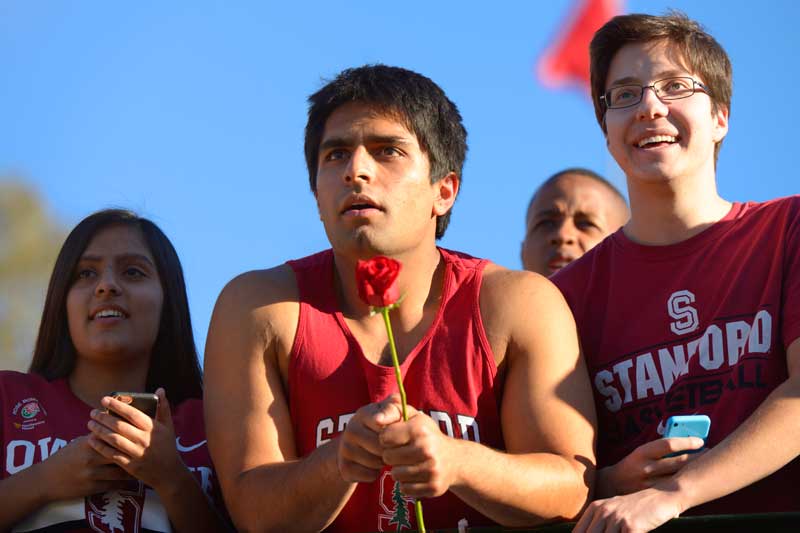 Three fans, one with a rose