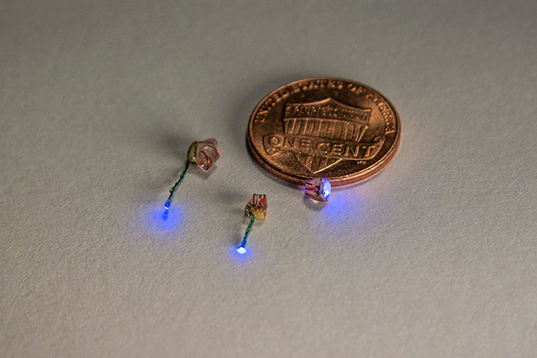 Implantable wireless devices 