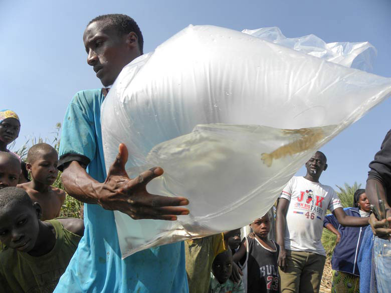 Man moving fish 