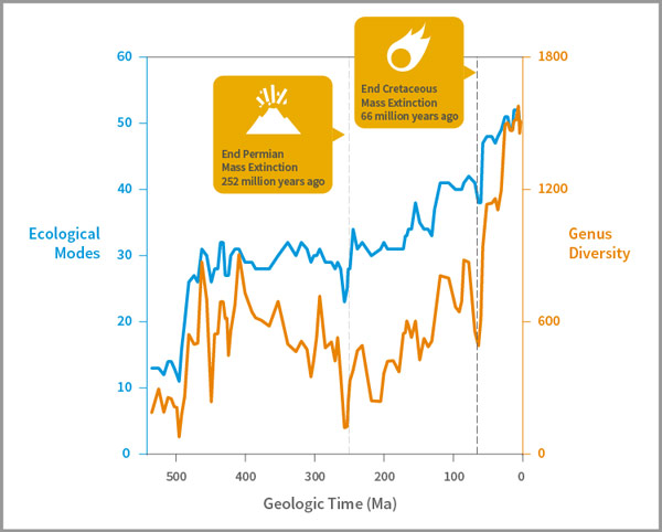 mass extinctions