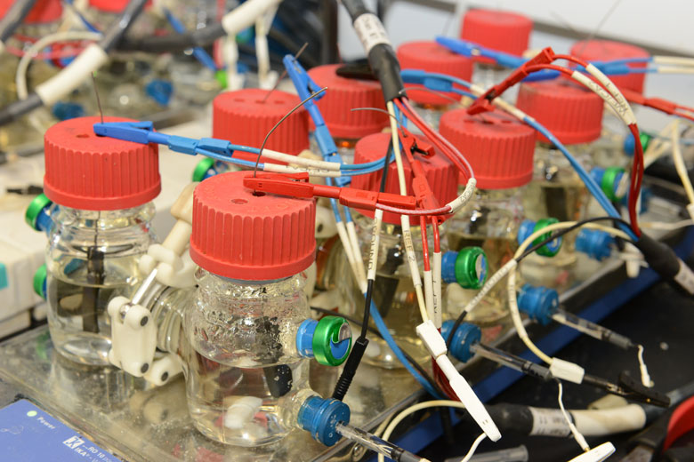 colonies of microbes producing methane gas in Spormann lab