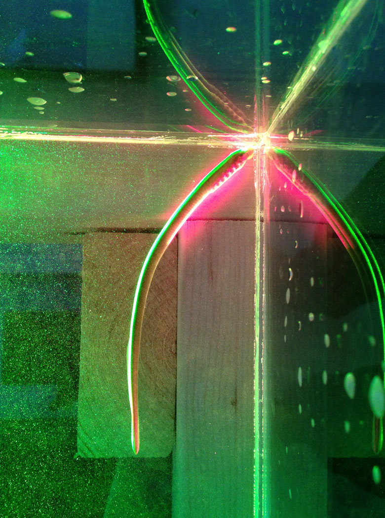 lamprey swimming in the corner of a water tank while illuminated by green and red laser sheets