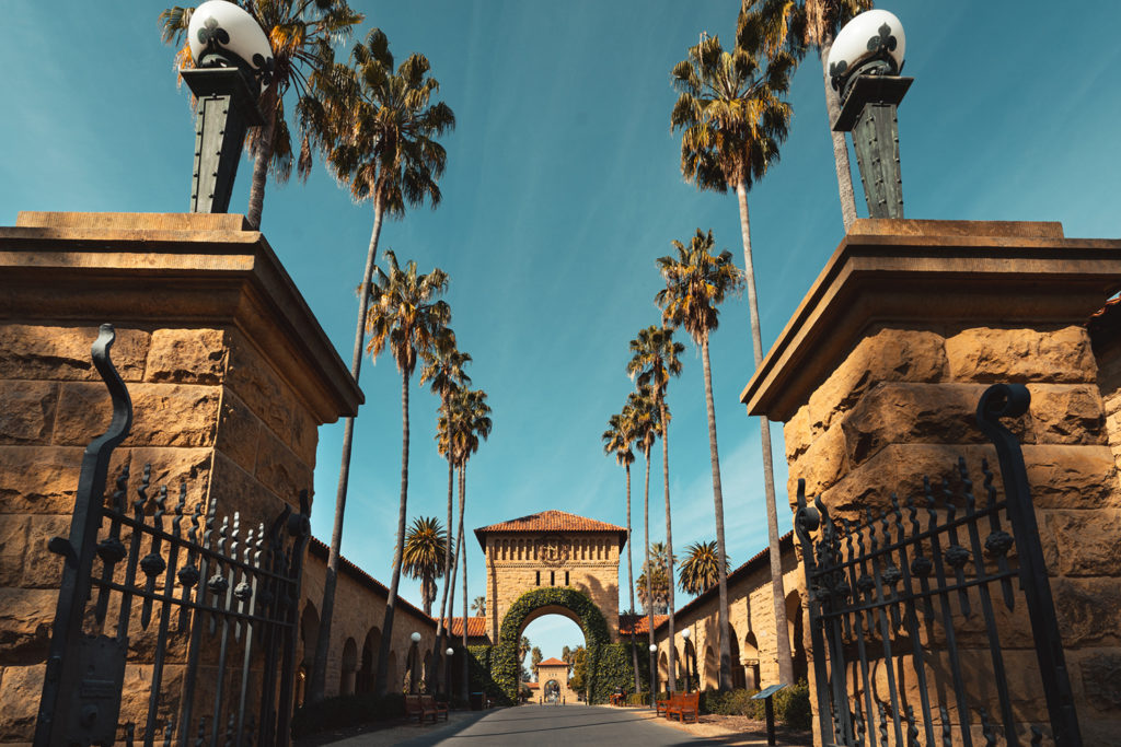 View of campus with palm trees