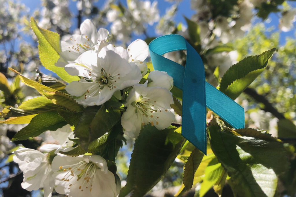 teal ribbon representing sexual assault awareness month