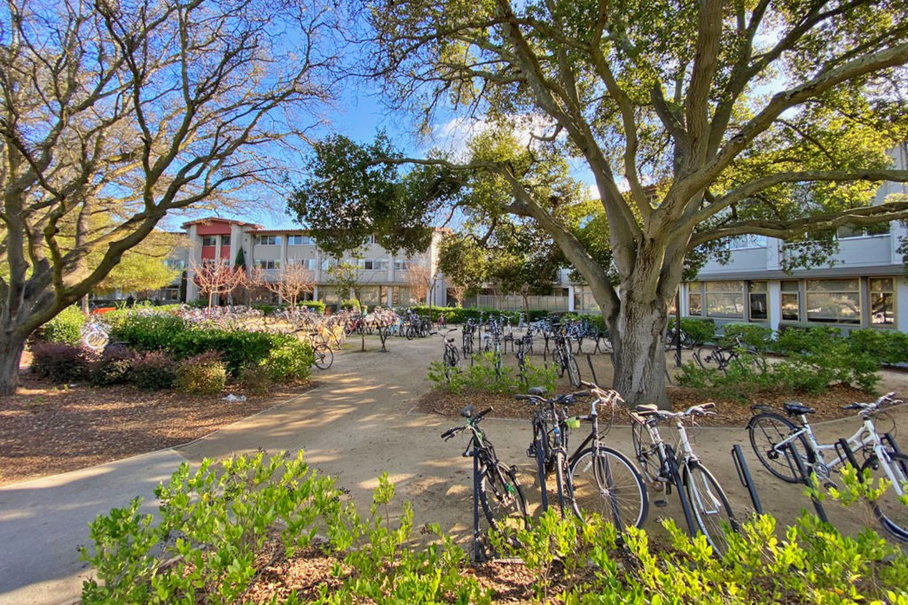 Exterior of Florence Moore Hall, showing trees and bikeracks