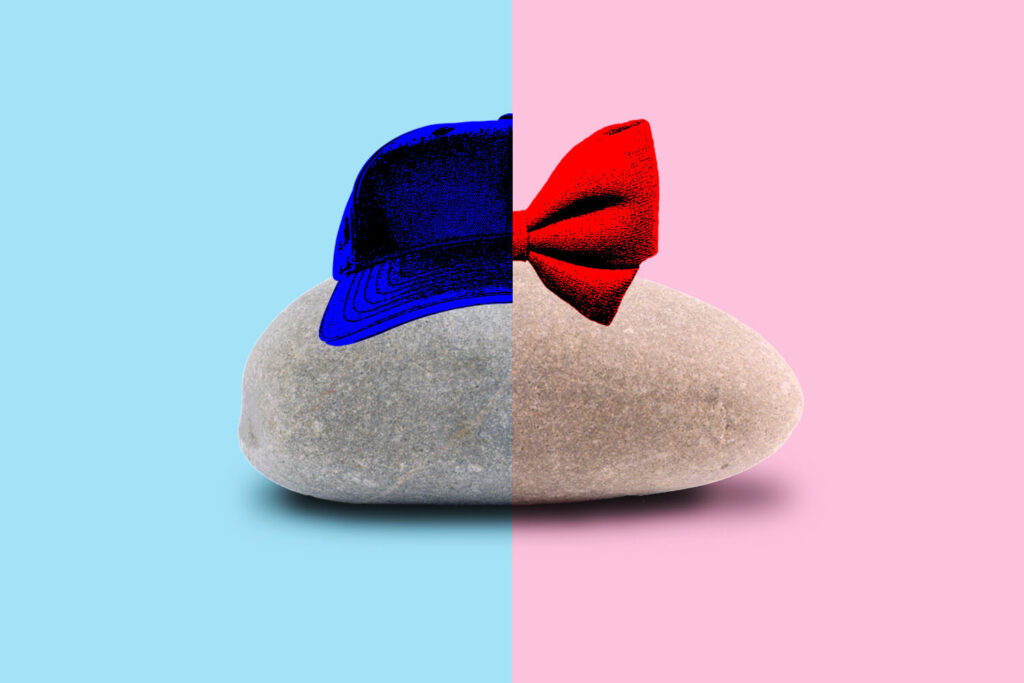 Illustration split into blue and pink, with a rock in the middle. The blue half is wearing a baseball hat, the pink half is wearing a bow.