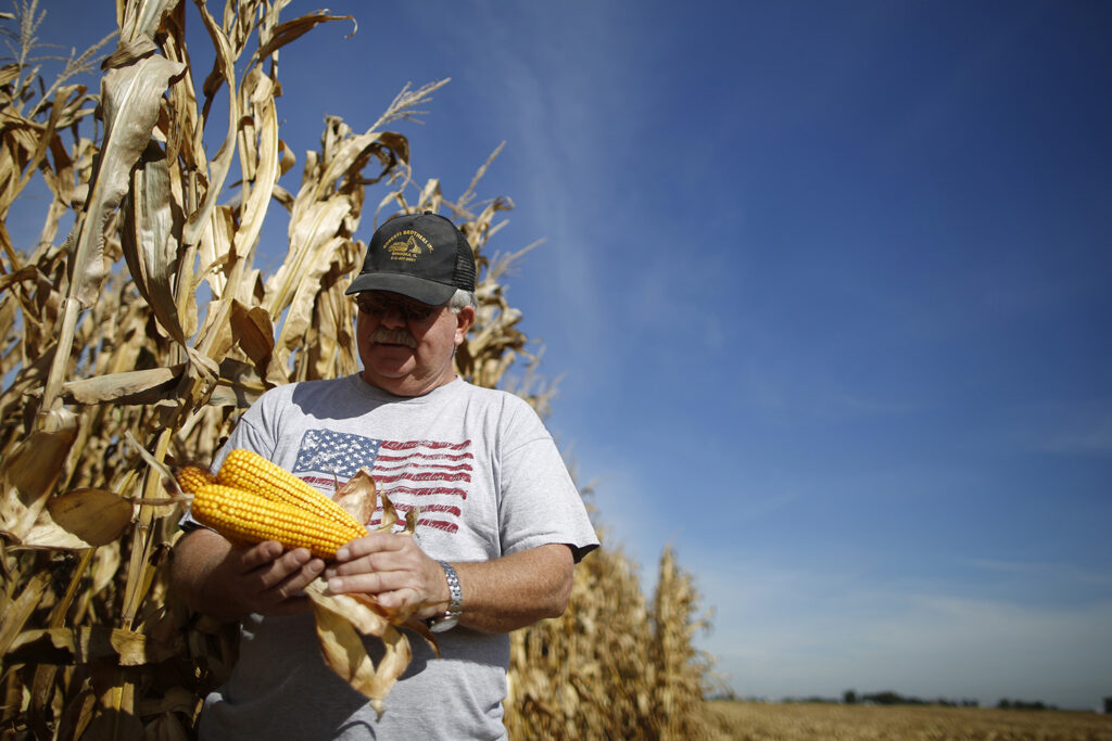 A man standing with his back to a dried-up cornfield is holding three ears of corn in his hands, and is wearing a t-shirt with an American flag and a baseball cap that shades his face. The sky is bright and blue behind him.