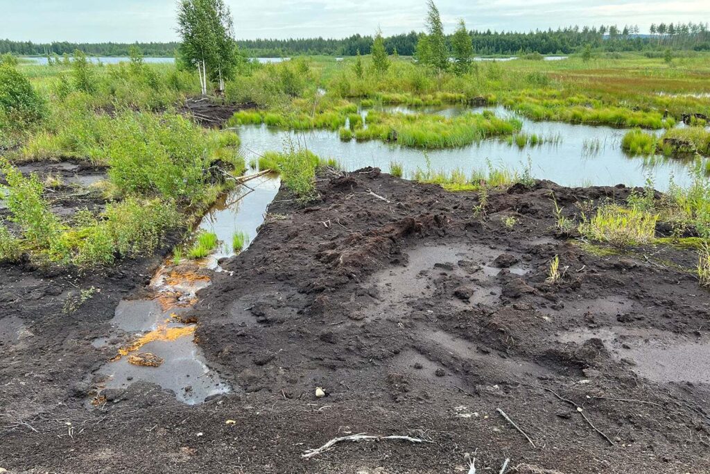 A peatland site at Linnunsuo in North Karelia, Finland. Legacy peat mining has degraded the wetland, as visible in the degraded soil in front.