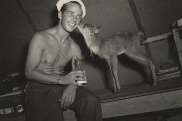 Ed Keegan, of the 78th Seabees, feeding the battalion’s adopted Rusa deer Bambi in New Caledonia, 1945.