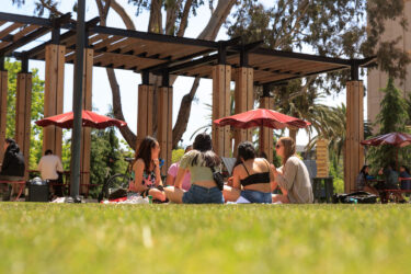 Students seated in a circle on the lawn.