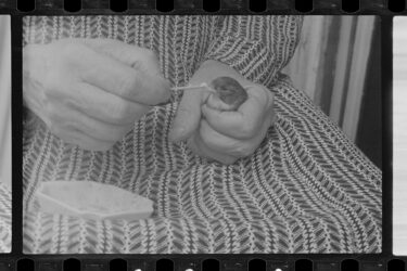 Woman hand-feeding her pet bird, c. 1940.