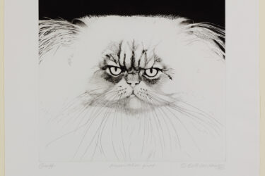 This grumpy Persian cat does not seem thrilled to be sitting for artist Beth van Hoesen, AB ’48.