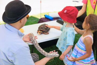 Child in Stanford bucket hat petting a turtle.