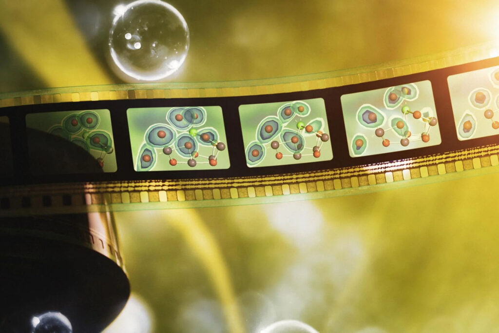 filmstrip illustration of photosynthesis