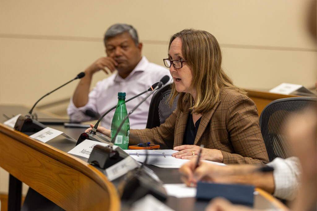 Provost Jenny Martinez speaks at the Faculty Senate meeting of October 5, 2023.