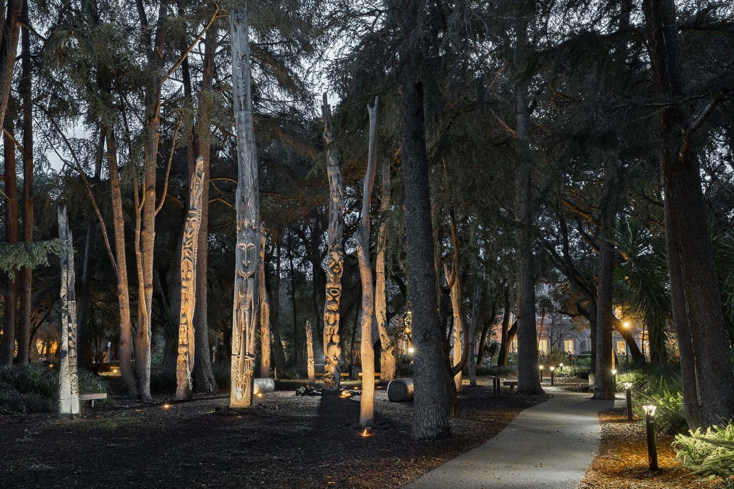 Dusk in the Papua New Guinea Sculpture Garden at Stanford University