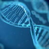 DNA double-helix / vitstudio/Shutterstock