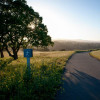 Bay Area hiking path