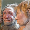 reconstruction of Neanderthal man and woman at the Neanderthal Museum in Mettmann, Germany