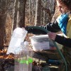 Technician collects drinking water