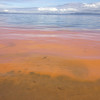 Algae bloom in Puget Sound near Edmonds, Washington, May 16, 2013