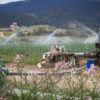 Groundwater pumping at farm