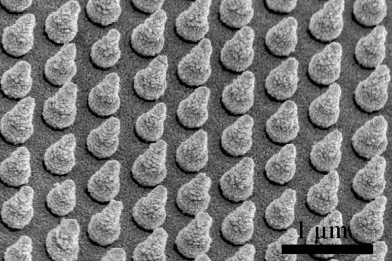 array of silicon nanocones