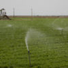 Irrigated field and oil pump in Kern County