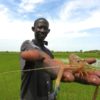 Research assistant holding a freshwater prawn