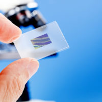 A hand holds a microscope slide.