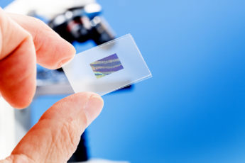 A hand holds a microscope slide.