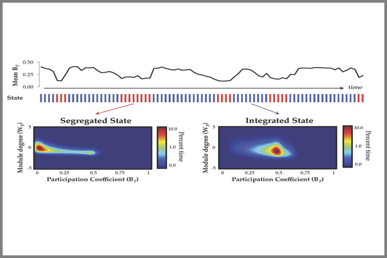 Network structure of the brain during the resting state with consistent, but irregular, fluctuations in the interconnected nature of the brain over time (top panel). Fluctuations grouped by high similarity (shown in red and blue below the time series plot), showing two distinct states: one in which the brain was "segregated," sharing connections within tight-knit groups, and another in which the brain was "integrated," sharing connections with regions in a number of other communities.