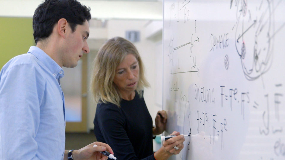 Postdoc Johannes Weickenmeier and Professor Ellen Kuhl