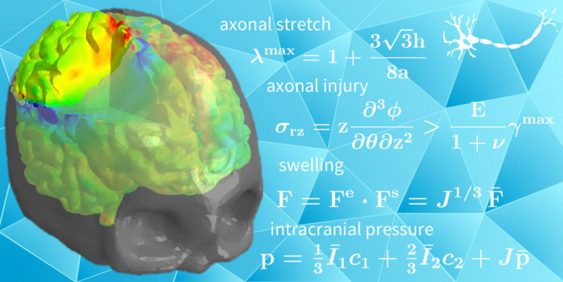 Brain illustration