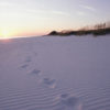 footprints on sandy beach