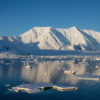 Antarctic glacier and sea