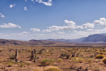 Nevada desert