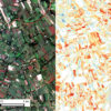 Image of maize farm plots in Western Kenya taken by Terra Bella satellites (left) and an agricultural yield map (right) generated from the same image using machine learning algorithms.