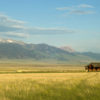 ranch house with mountains in background