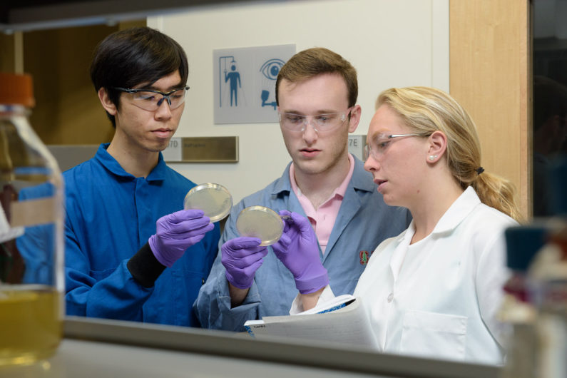 Christian Choe, left, Zach Rosenthal and Maria Filsinger Interrante