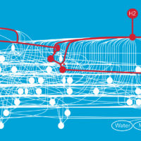 A network of chemical reactions.