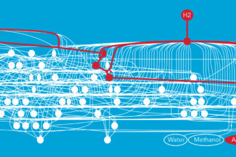 A network of chemical reactions.