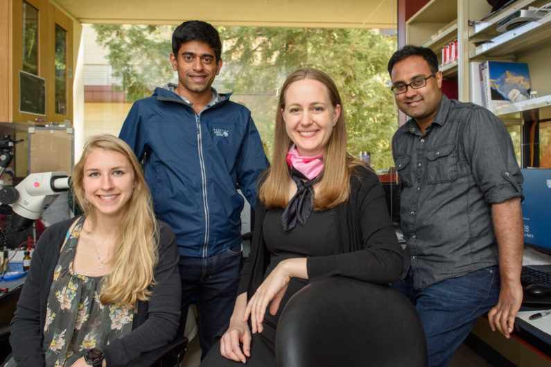 Kiah Hardcastle,Niru Maheswaranathan, Lisa Giocomo and Surya Ganguli