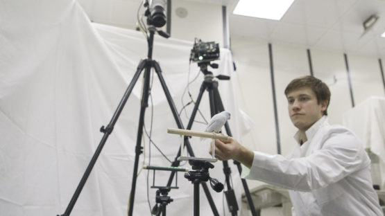 Graduate student Marc E. Deetjen trains a parrotlet to fly between perches.