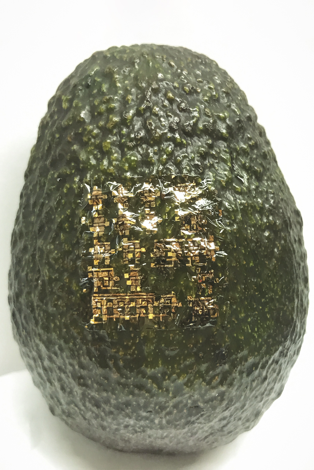 Flexible, biodegradable semiconductor on an avacado