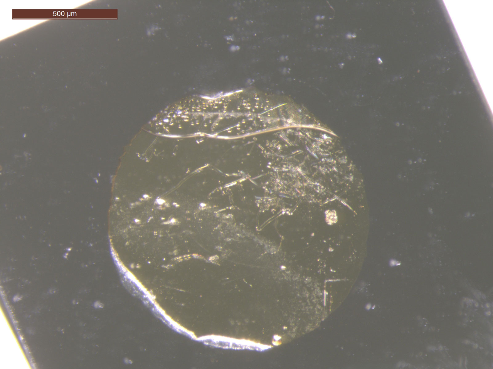 This photo shows a circular water layer sandwiched between a diamond platelet coated with gold and a quartz platelet. The water layer transforms into ice VII after being blasted by an intense green laser.