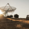 Stanford Dish