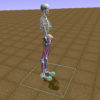 Computer model of human bones, muscles and motor control similar to the ones participating in the “Learning to Run” machine learning competition.