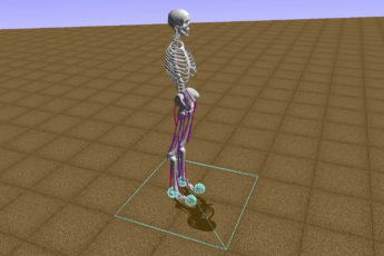 Computer model of human bones, muscles and motor control similar to the ones participating in the “Learning to Run” machine learning competition.