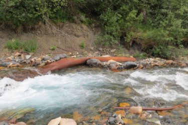 Flumestock remnants in Rex Creek.